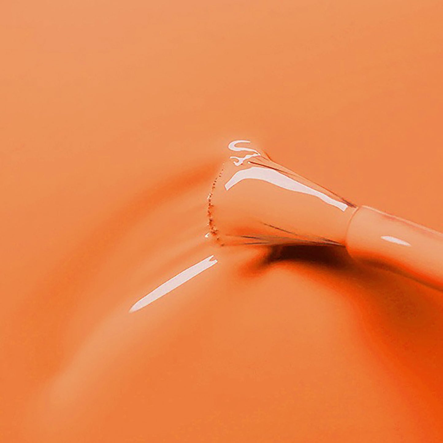 Coral Orange