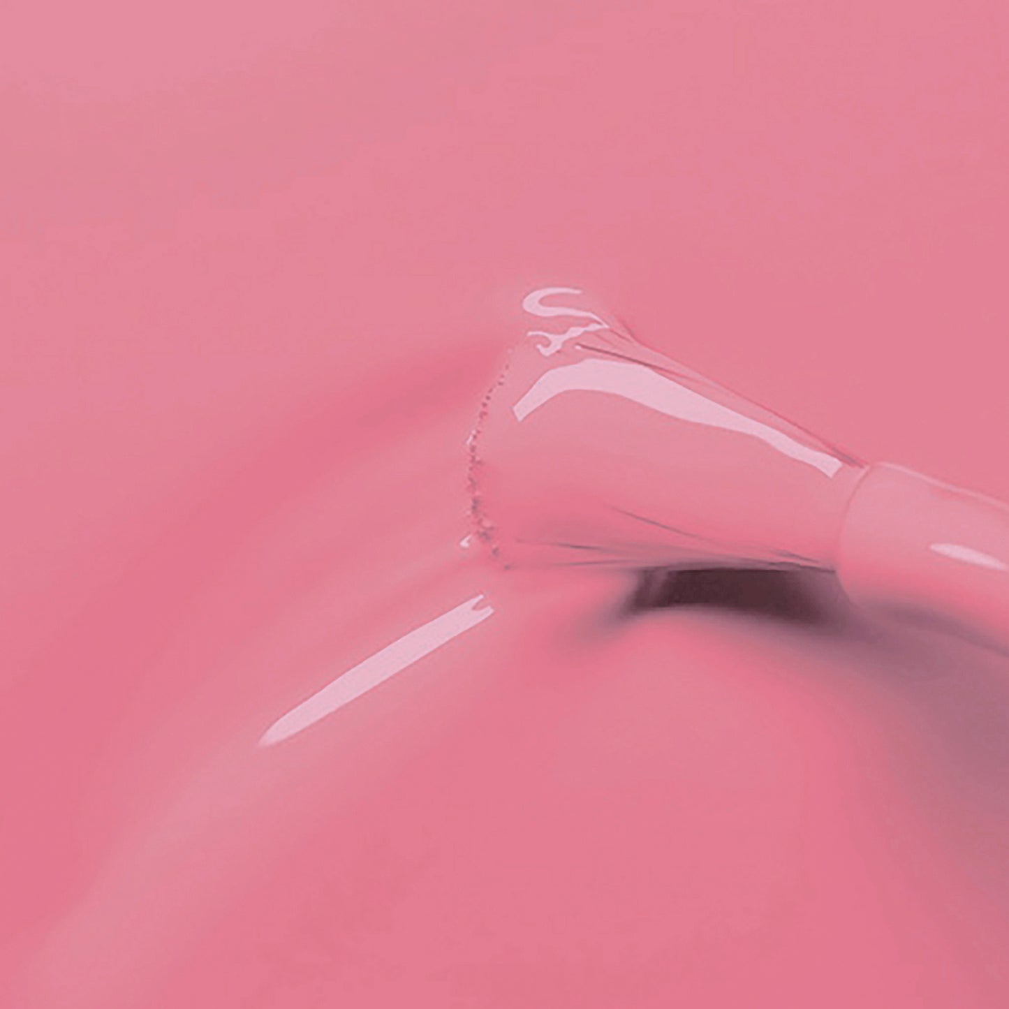 Dusky Pink