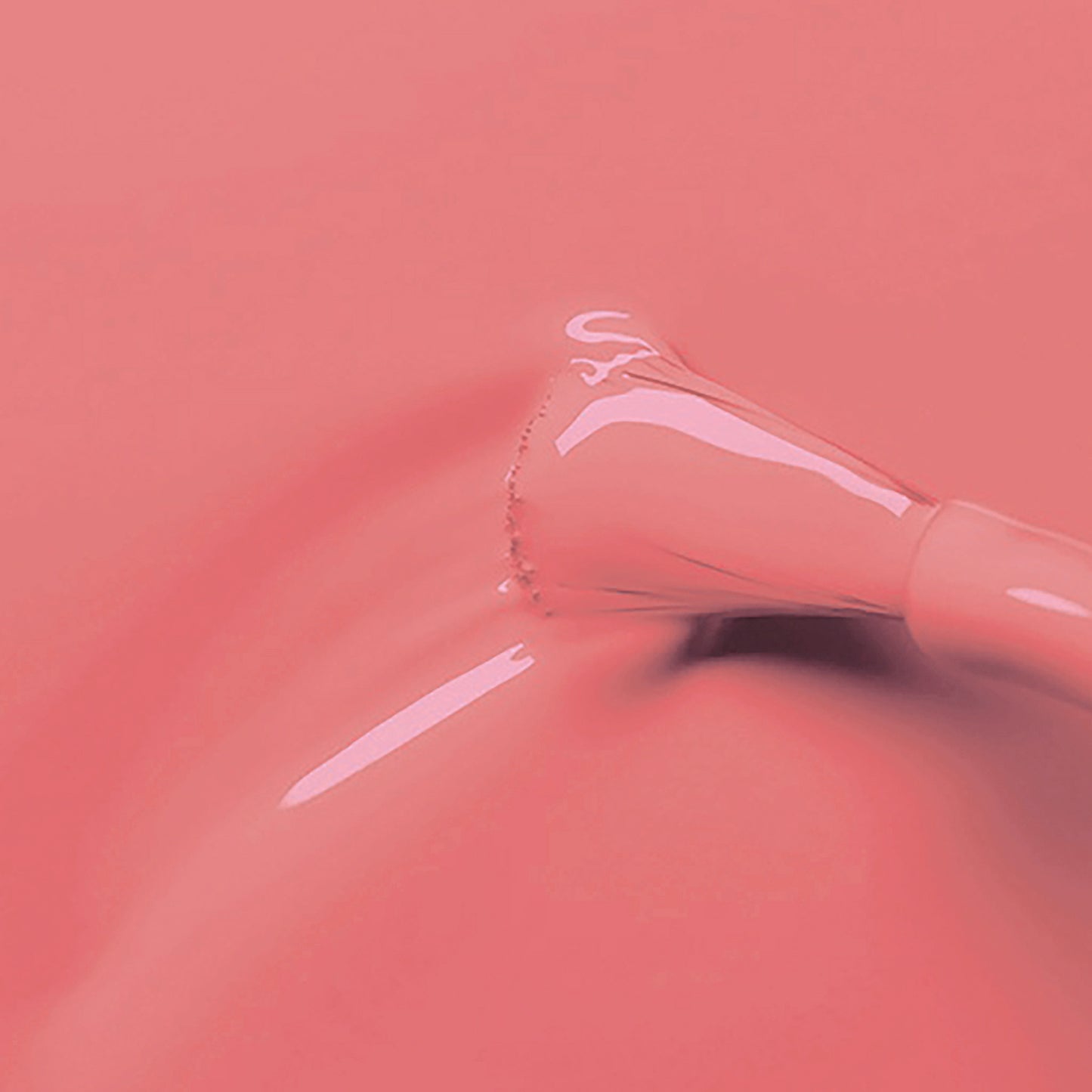 Terracota