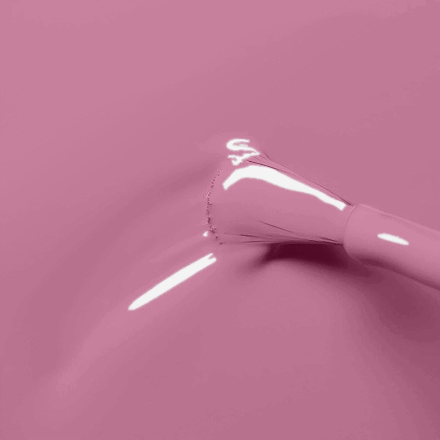 Old Rose Pink