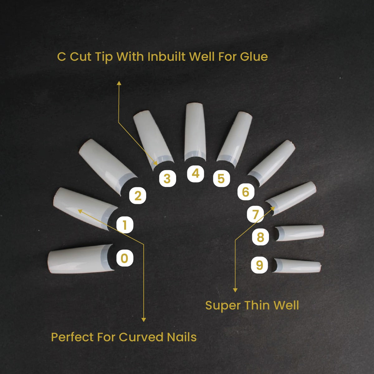 Nail Tip - C Cut Natural